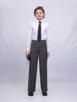 Школьные брюки Престиж (ШФ-2210)