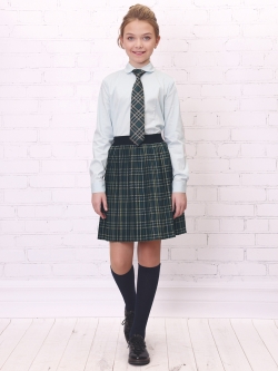 Школьная юбка Рио комби (ШФ-1943)