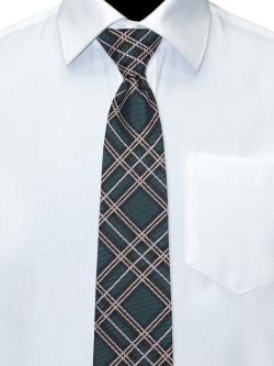 Галстук Рио комби (GAL-033/280)