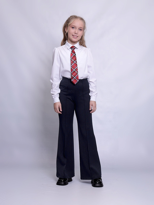 Школьные брюки Рио (ШФ-2386)