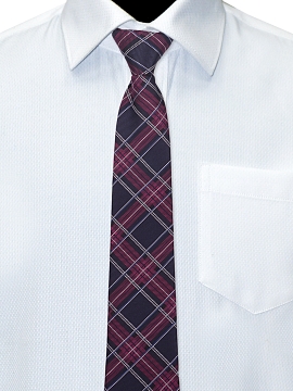 Галстук Рио комби Виктория (GAL-04/281)