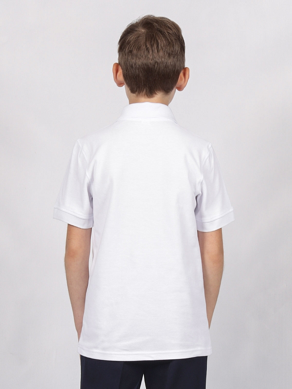 Спортивная футболка-поло для мальчика (ШФ-1378)