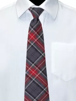 Галстук Персей комби (GAL-033/311)