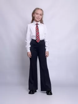 Школьные брюки Рио (ШФ-2386)