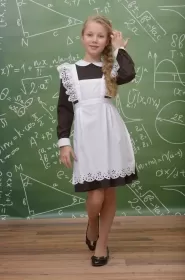 Фартук школьный (ШФ-1614)
